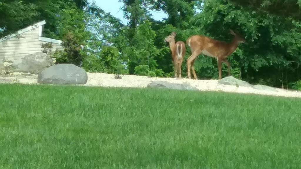 Greg Sikorsky Childrens Park | Lime Kiln Park | 45 Lime Kiln Rd, Suffern, NY 10901, USA