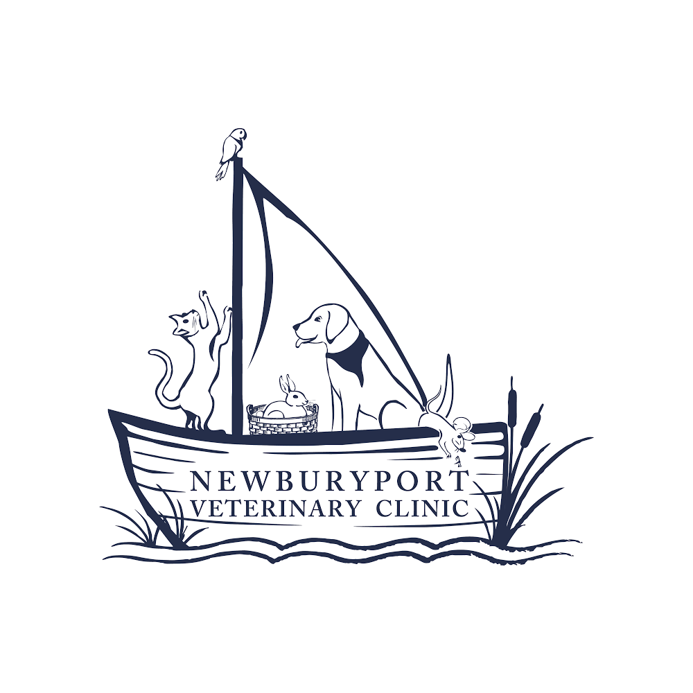 The Newburyport Veterinary Clinic | 177 Storey Ave, Newburyport, MA 01950, USA | Phone: (978) 462-7771