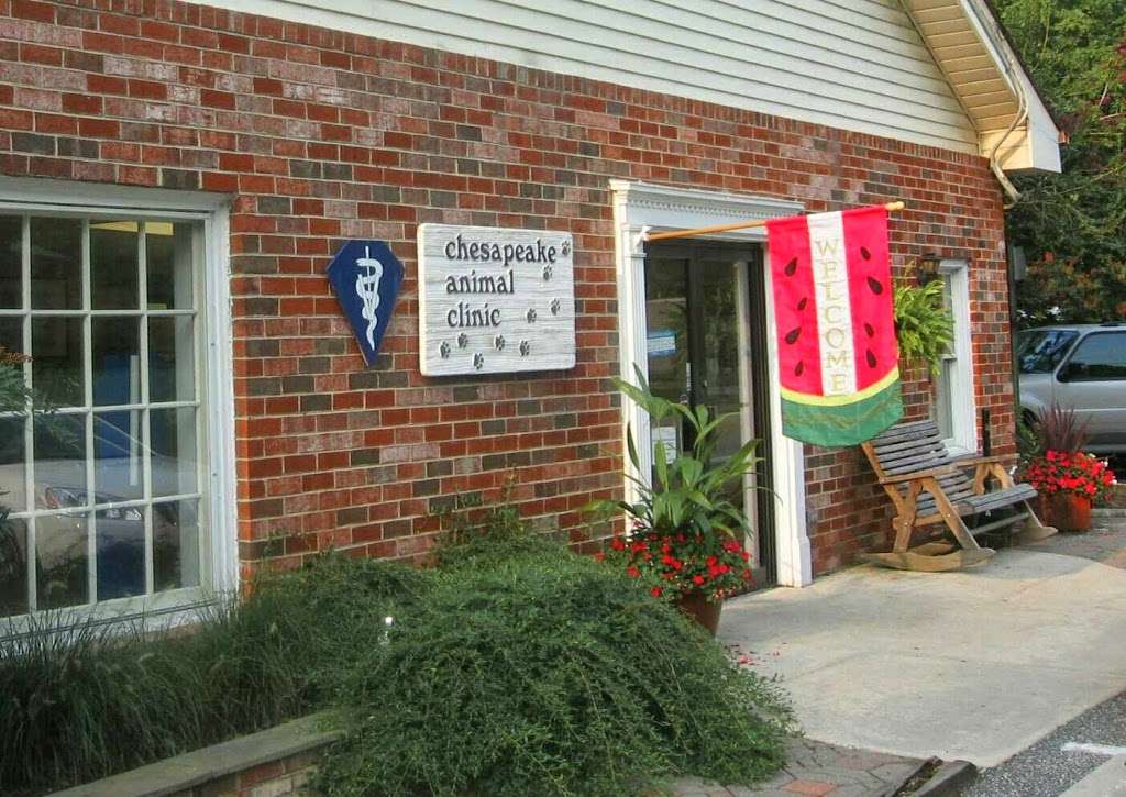 Chesapeake Animal Clinic | 9825 Old Solomons Island Rd, Owings, MD 20736, USA | Phone: (301) 855-5166