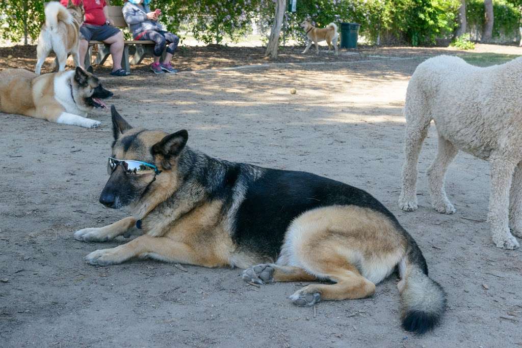 Fullerton Pooch Park | 201 S Basque Ave, Fullerton, CA 92833, USA | Phone: (714) 738-6575