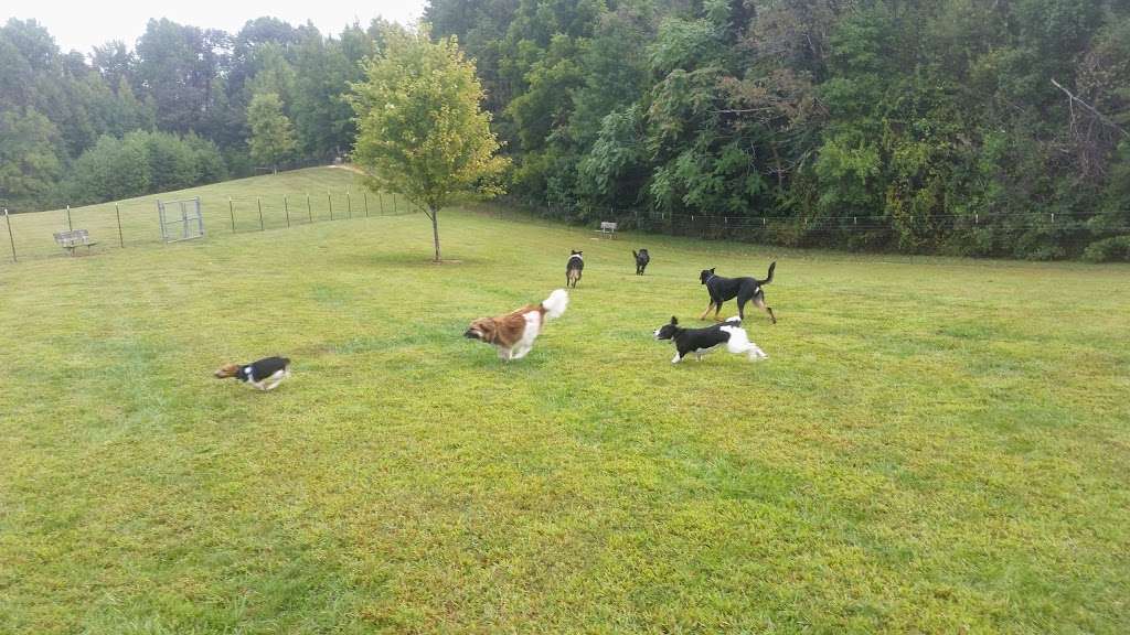 Grays Road Dog Park | 2695 Grays Rd, Prince Frederick, MD 20678, USA