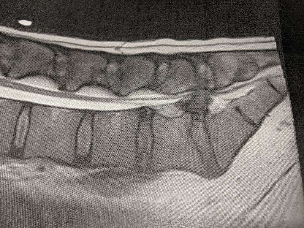 UCHealth Greeley Emergency and Surgery Center | 6906 W 10th St, Greeley, CO 80634, USA | Phone: (970) 392-4320 UCHealth Greeley Emergency and Surgery Center | 6906 W 10th St, Greeley, CO 80634, USA | Phone: (970) 392-4320