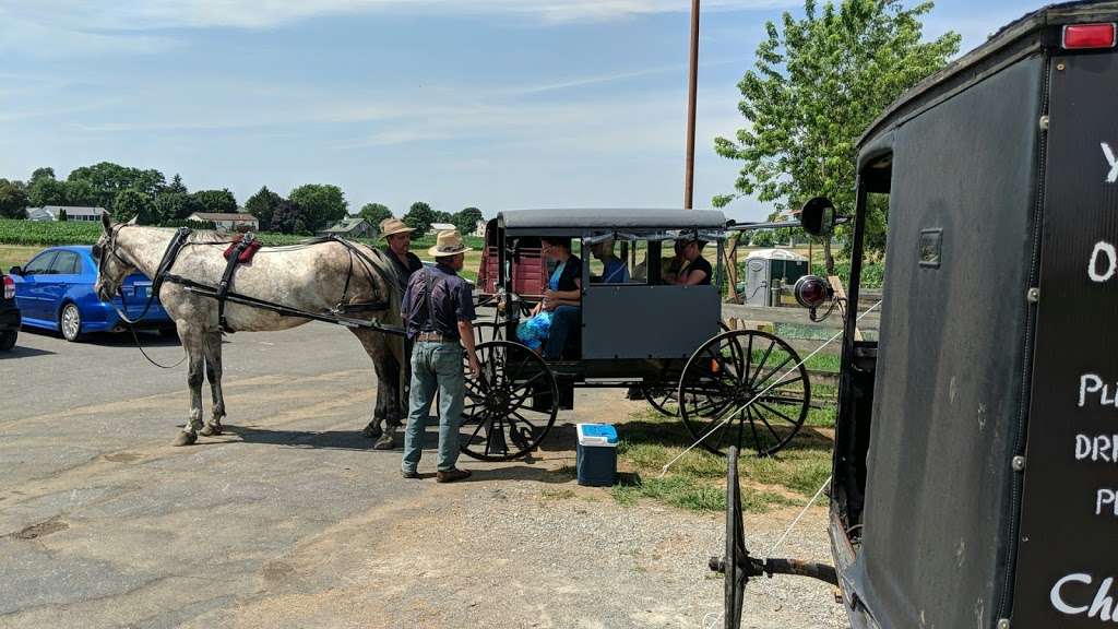 Buggy rides at Antique Barn | 3509669900000, Bird in Hand, PA 17505, USA | Phone: (717) 371-0876