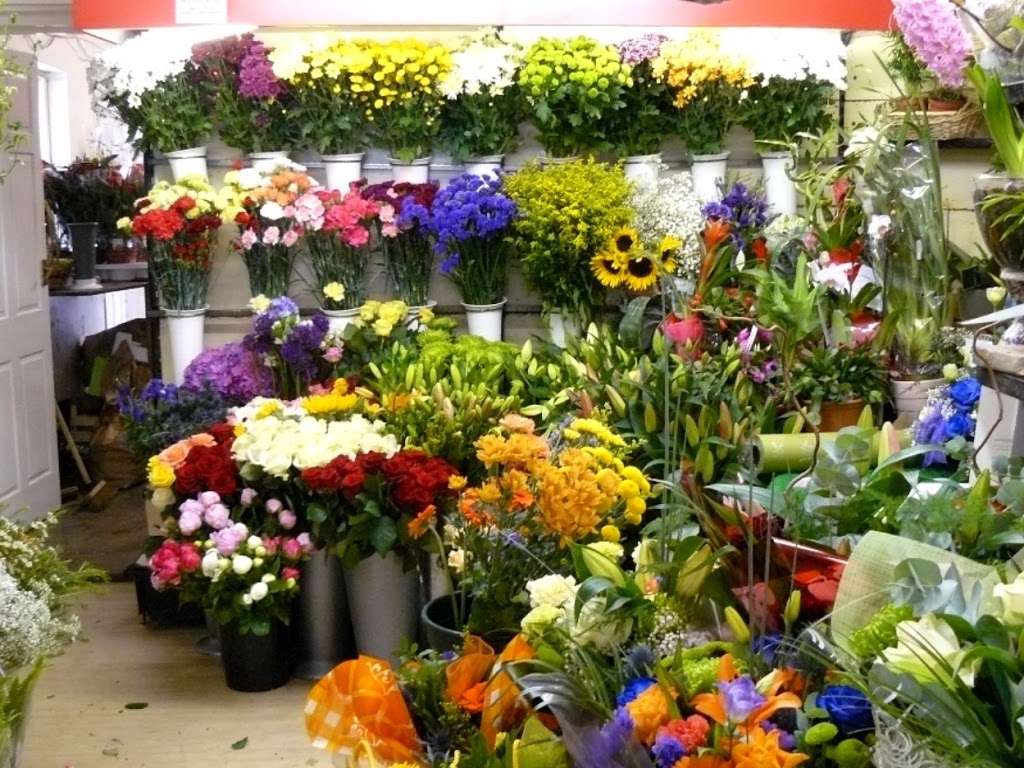 Grossmans Florist | 400 Atlantic Ave, Oceanside, NY 11572, USA | Phone: (516) 766-6663