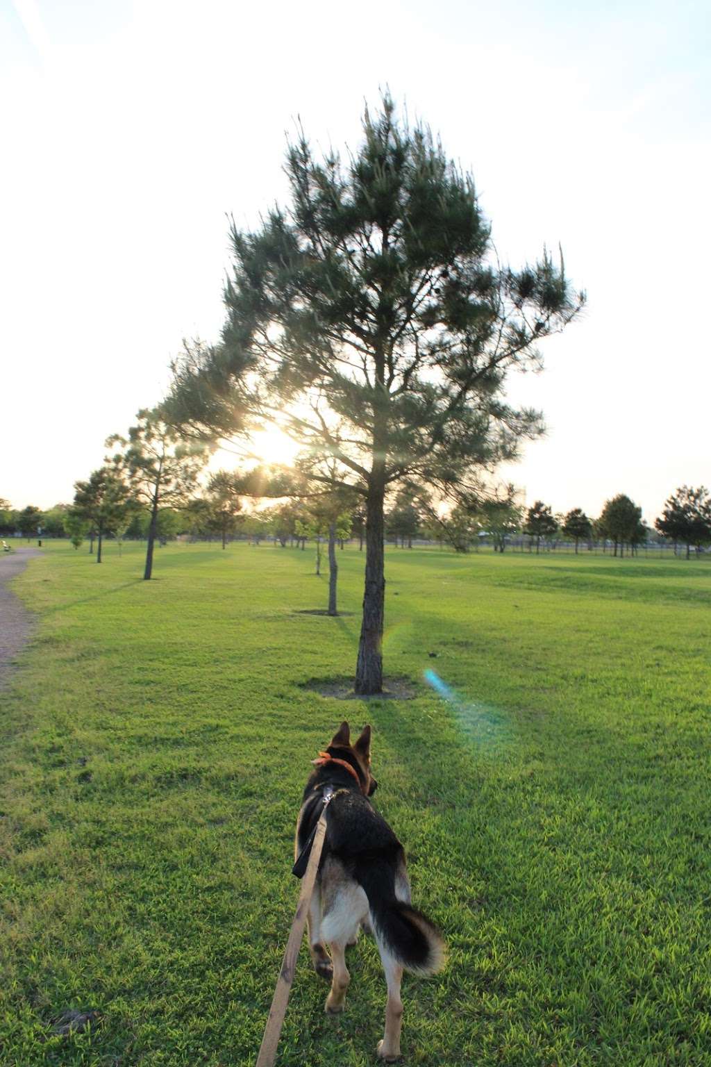 Jenkins Park Dog Park | Baytown, TX 77521, USA | Phone: (281) 420-6597