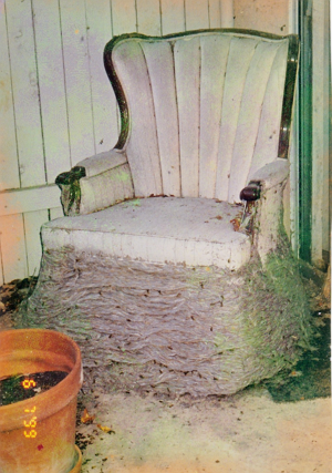 Nu Way Pest Control | 7126 Eckhert Rd Ste 1, San Antonio, TX 78238, USA | Phone: (210) 520-0500