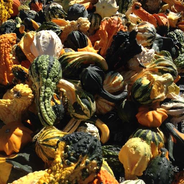 Cavages Country Farm Market | 1203 Roosevelt Hwy, Waymart, PA 18472, USA | Phone: (570) 251-7709