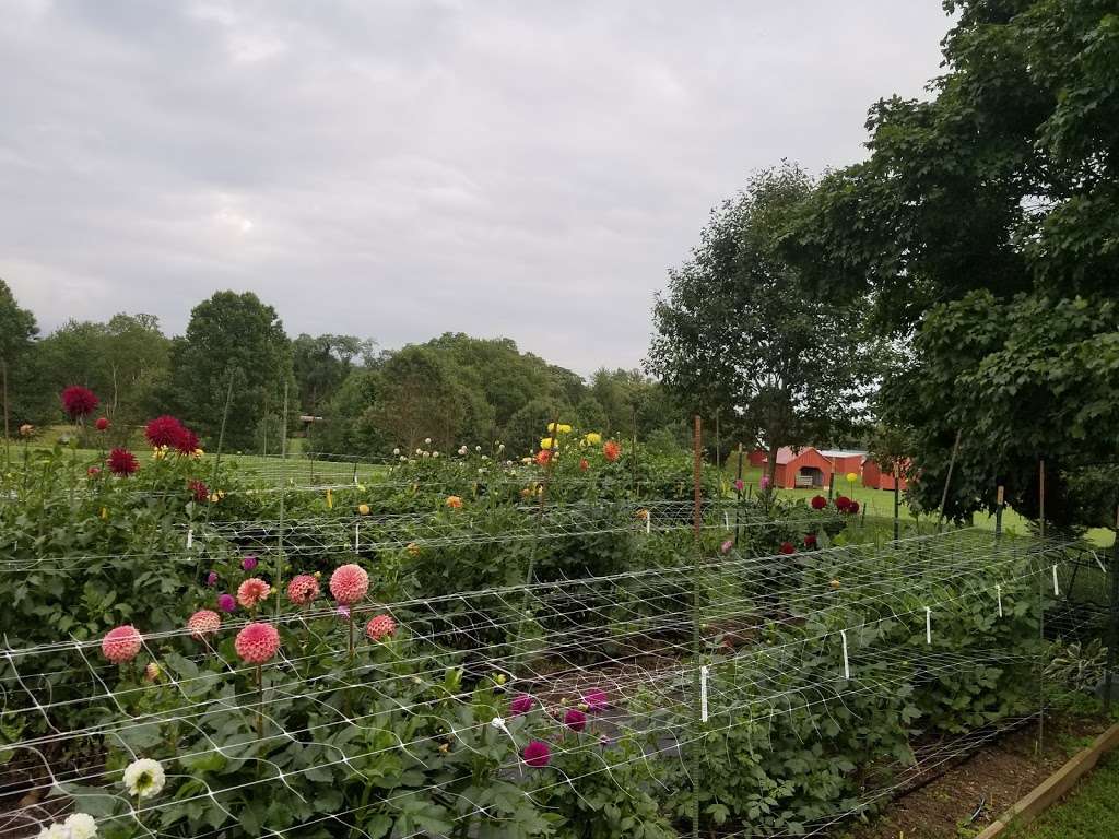 Montgomery County Master Gardener Demonstration Garden | 18410 Rock Creek Park Rd, Derwood, MD 20855