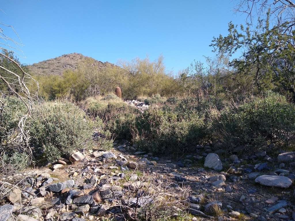 McDowell Sonoran Preserve | Saguaro Loop Trail, Scottsdale, AZ 85255, USA