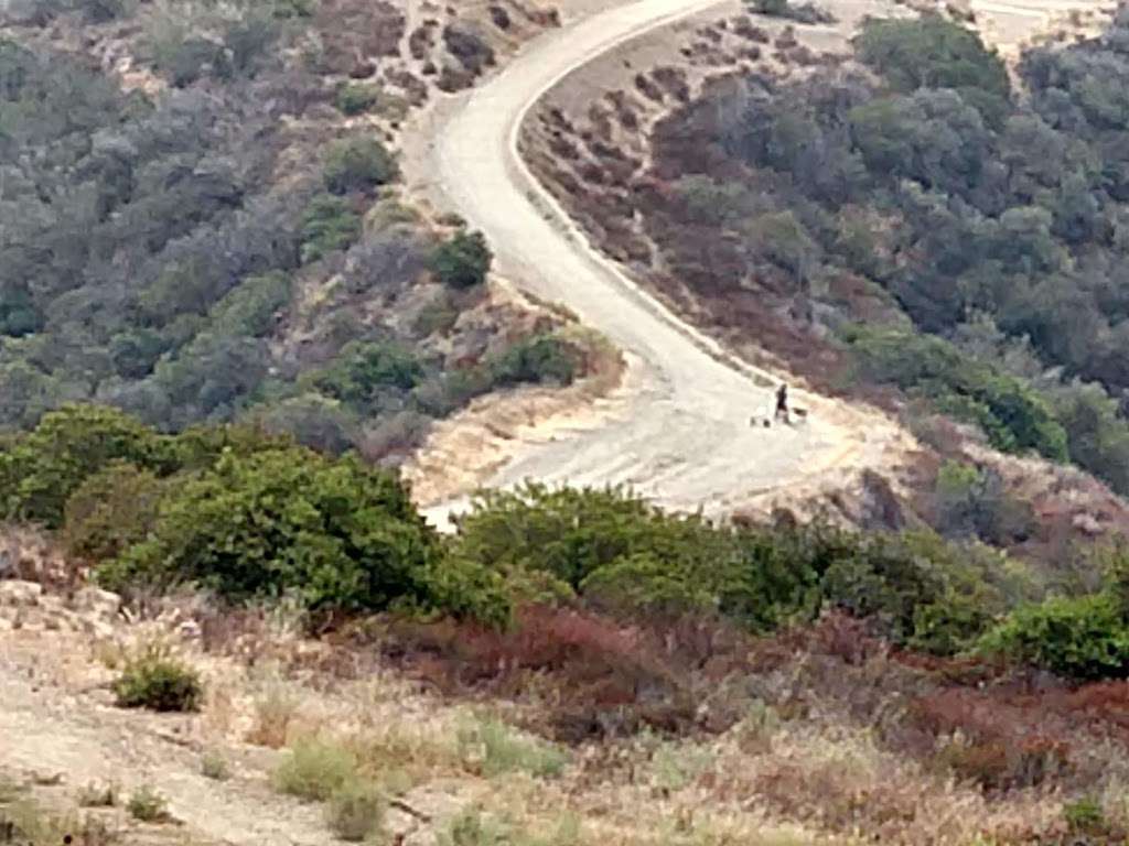 Canyonback Tree Swing | Lower Canyonback Trail, Los Angeles, CA 90049