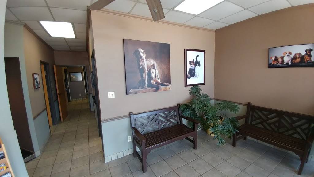 Chase Oaks Animal Clinic | 141 W Spring Creek Pkwy #415, Plano, TX 75023, USA | Phone: (972) 517-1970