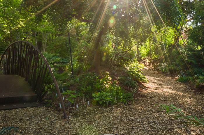 Center for Mindfulness & Nonduality at Juniper Level Botanic Garden | 9241 and 9249 Sauls Rd, Raleigh, NC 27603 | Phone: (919) 772-4794