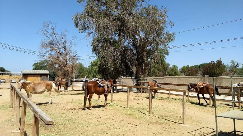 S&D Horseback Riding | 4886 California Ave, Norco, CA 92860, USA | Phone: (909) 645-1270