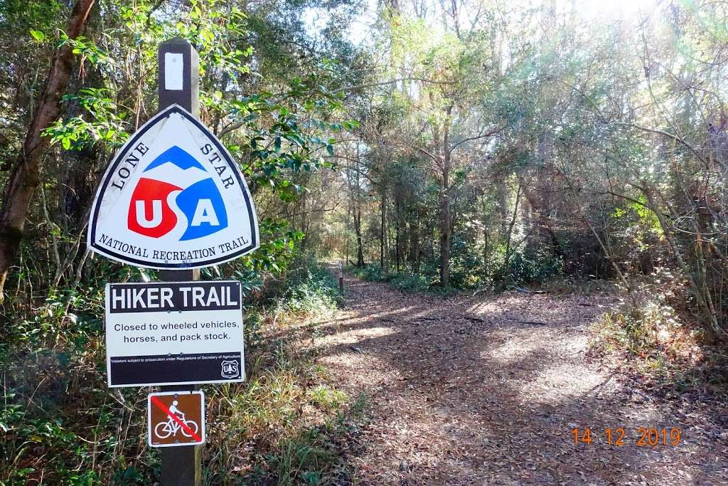 Lone Star Hiking Trail - Big Creek Primitive Campsite | Coldspring, TX 77331, USA | Phone: (936) 344-6205