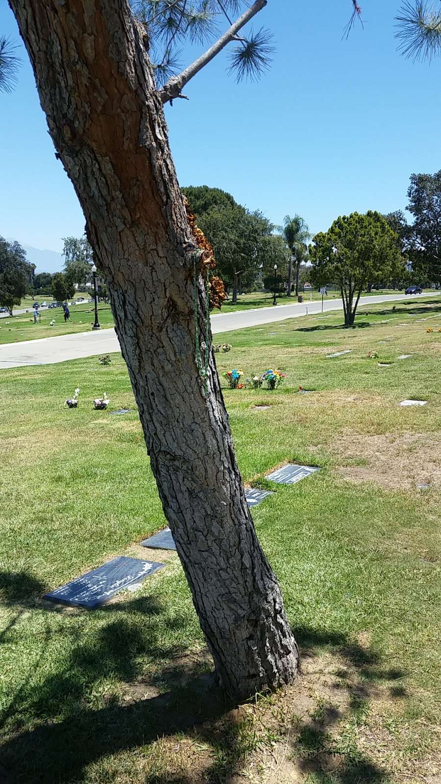 Queen of Heaven | 2161 Fullerton Rd, Rowland Heights, CA 91748, USA | Phone: (626) 964-1291