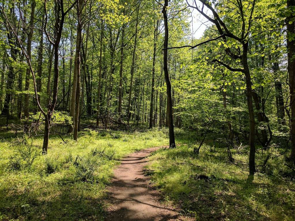 Bacon Ridge Park, Bike Trail, AA County | 1801 Hawkins Rd, Annapolis, MD 21401, USA