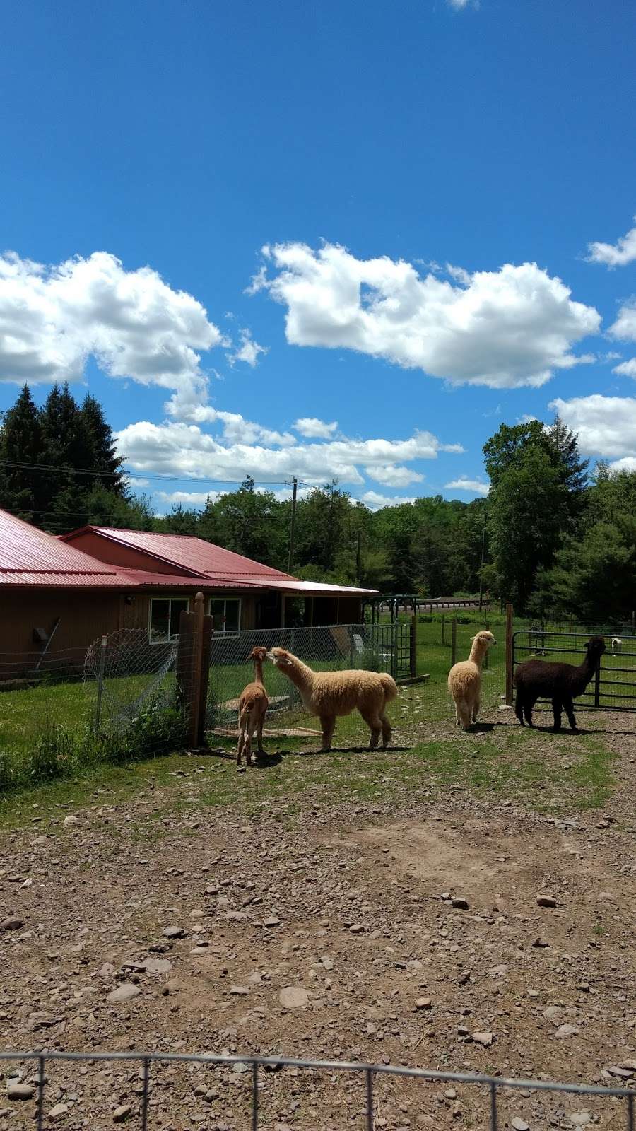 Harvest Moon Hollow Country Store | 1842 PA-118, Sweet Valley, PA 18656, USA | Phone: (570) 477-1547