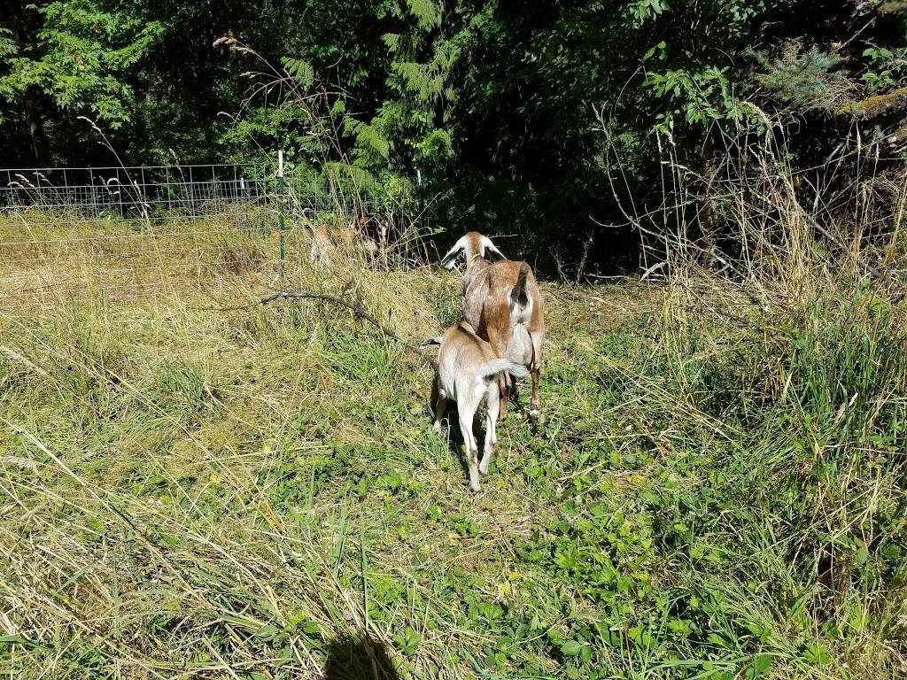 Tryon Life Community Farm | 11640 SW Boones Ferry Rd, Portland, OR 97219, USA | Phone: (503) 245-3847