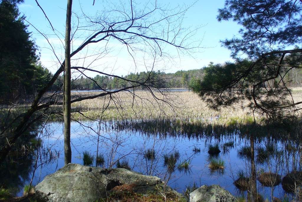 Ayer Conservation Trails | 73 Groton-Harvard Rd, Ayer, MA 01432, USA