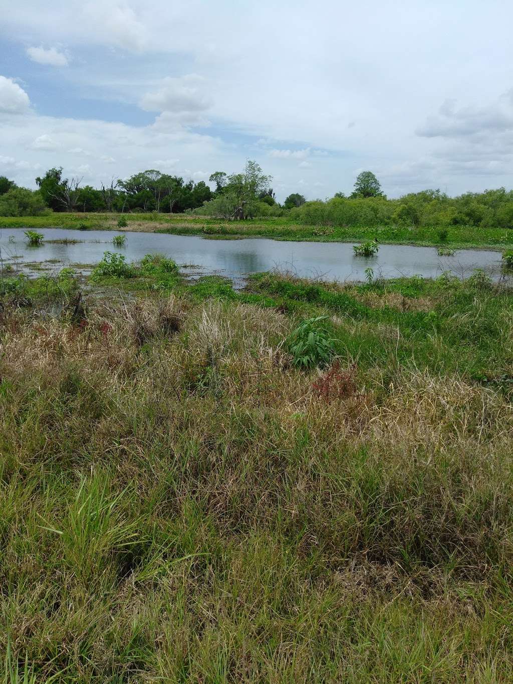 Polks Nature Discovery Center | Discovery Dr, Lakeland, FL 33803, USA | Phone: (863) 534-7377