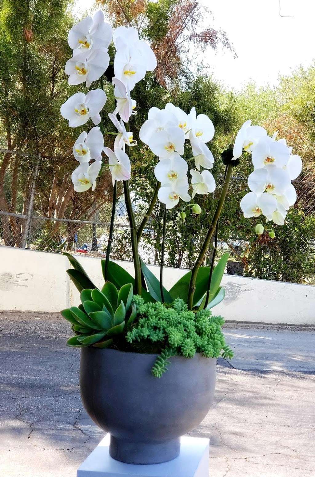 Floral Designs by Daves Flowers | 4738 Hollywood Blvd, Los Angeles, CA 90027, USA | Phone: (323) 666-4391