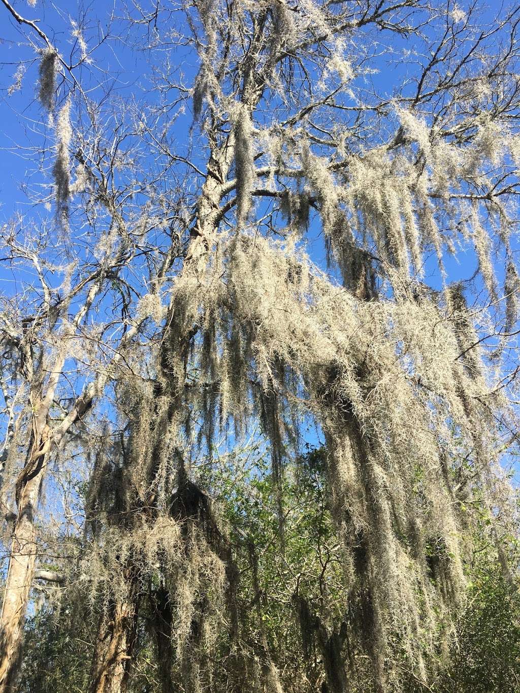 Dr. Ned and Fay Dudney Clear Creek Nature Center | 1220 Egret Bay Blvd, League City, TX 77573, USA | Phone: (281) 554-1181