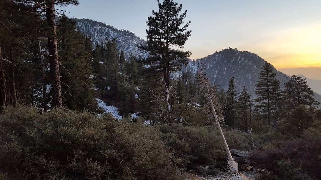 Cedar Glen | Mt Baldy, CA 91759, USA