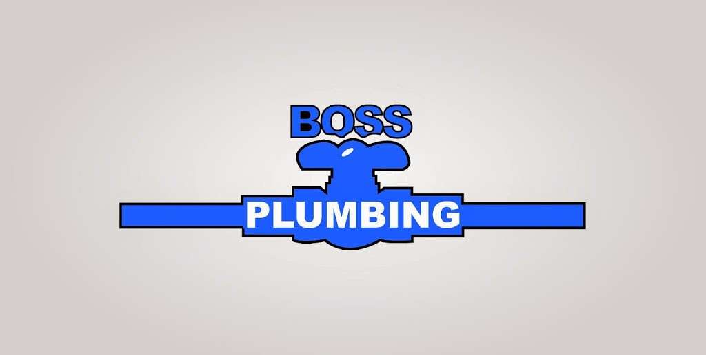 Boss Plumbing Corporation | 21W358 Hill Ave, Glen Ellyn, IL 60137, USA | Phone: (630) 469-1395