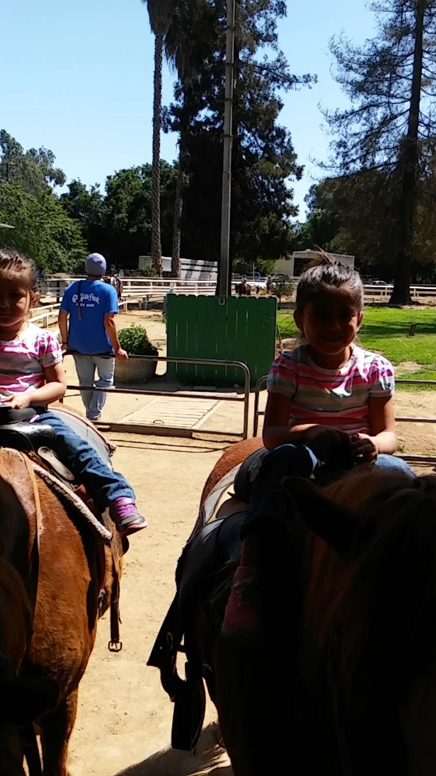 Griffith Park Pony Ride | 4400 Crystal Springs Dr, Los Angeles, CA 90027, USA | Phone: (323) 664-3266