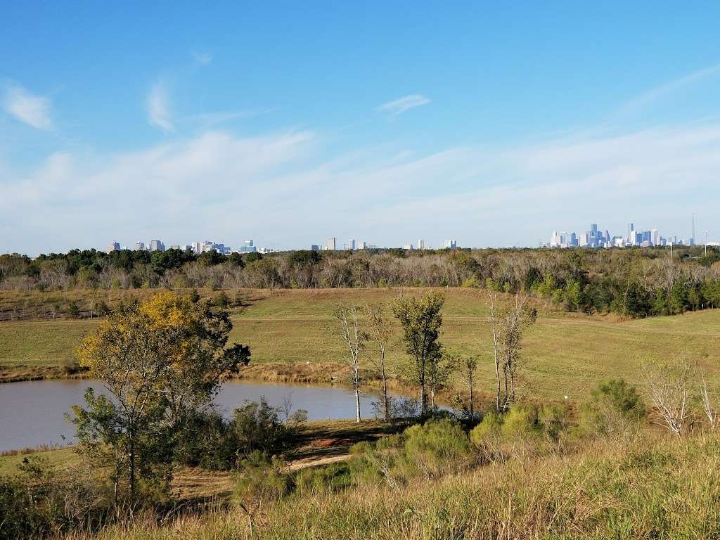 The Hill at Sims Greenway | Houston, TX 77047, USA