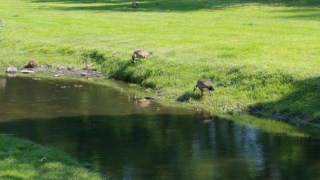 Rogers Preserve/Millstone River Preserve | Princeton Junction, NJ 08550, USA