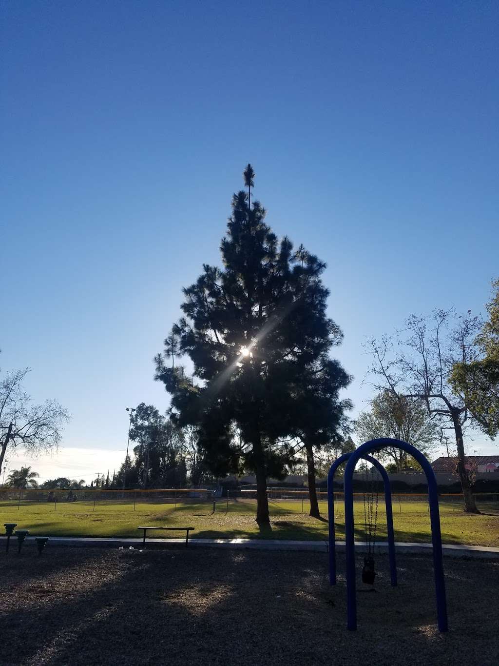 The John Landes Skatepark | 4215 Lewis St, Oceanside, CA 92056 | Phone: (760) 435-4500