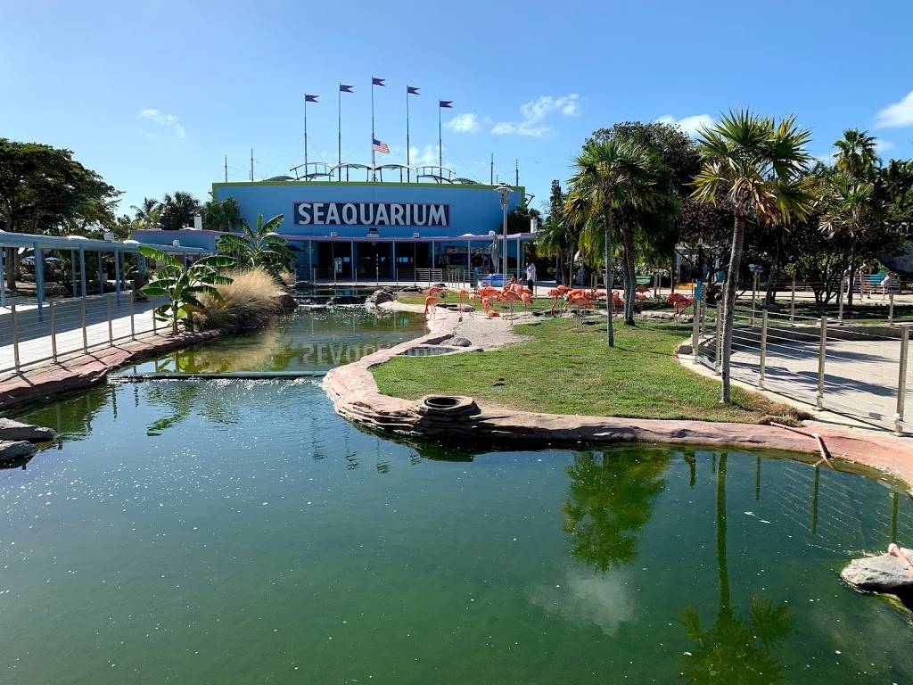 Miami Seaquarium | Florida 33149