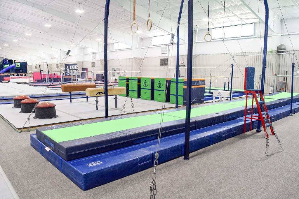 Cypress Academy of Gymnastics | 16710 House & Hahl Rd, Cypress, TX 77433, USA | Phone: (281) 469-4599