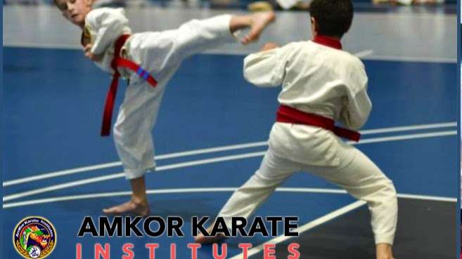 AmKor Karate Institutes | 600 Lancaster Ave, Bryn Mawr, PA 19010, USA | Phone: (610) 209-8179