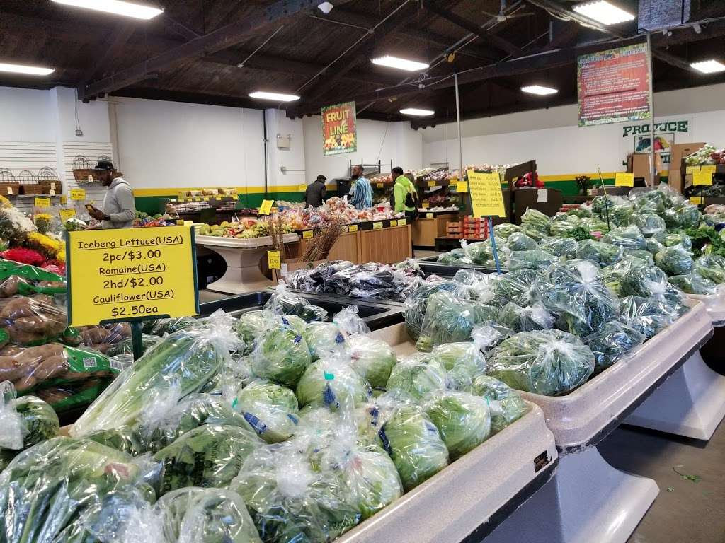 Produce Junction Inc | 2241 Bryn Mawr Ave, Philadelphia, PA 19131, USA | Phone: (215) 477-5007