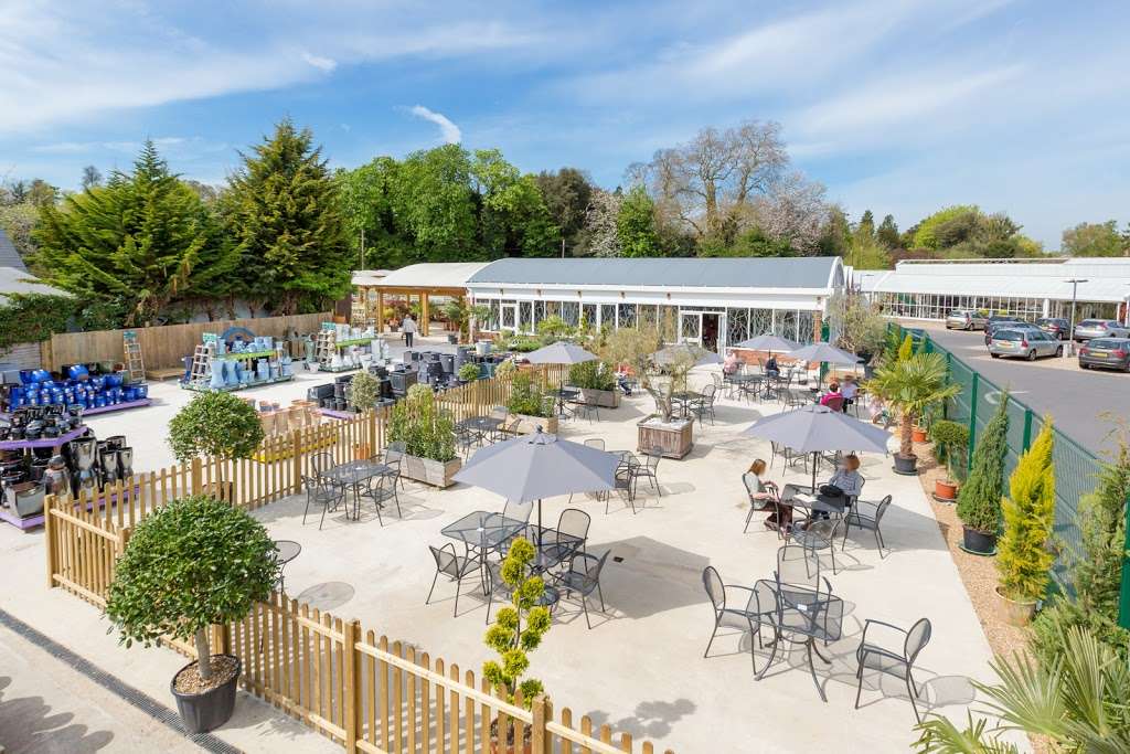 The Olive Tree | 6 Pleasure Pit Rd, Ashtead KT21 1HU, UK | Phone: 01372 271188