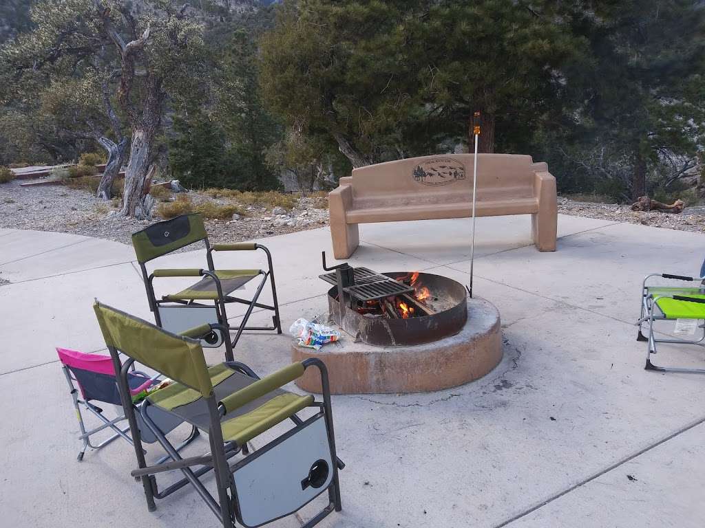 Mahogany Grove Campground | NV-158, Coleville, NV 96107, USA | Phone: (801) 226-3564