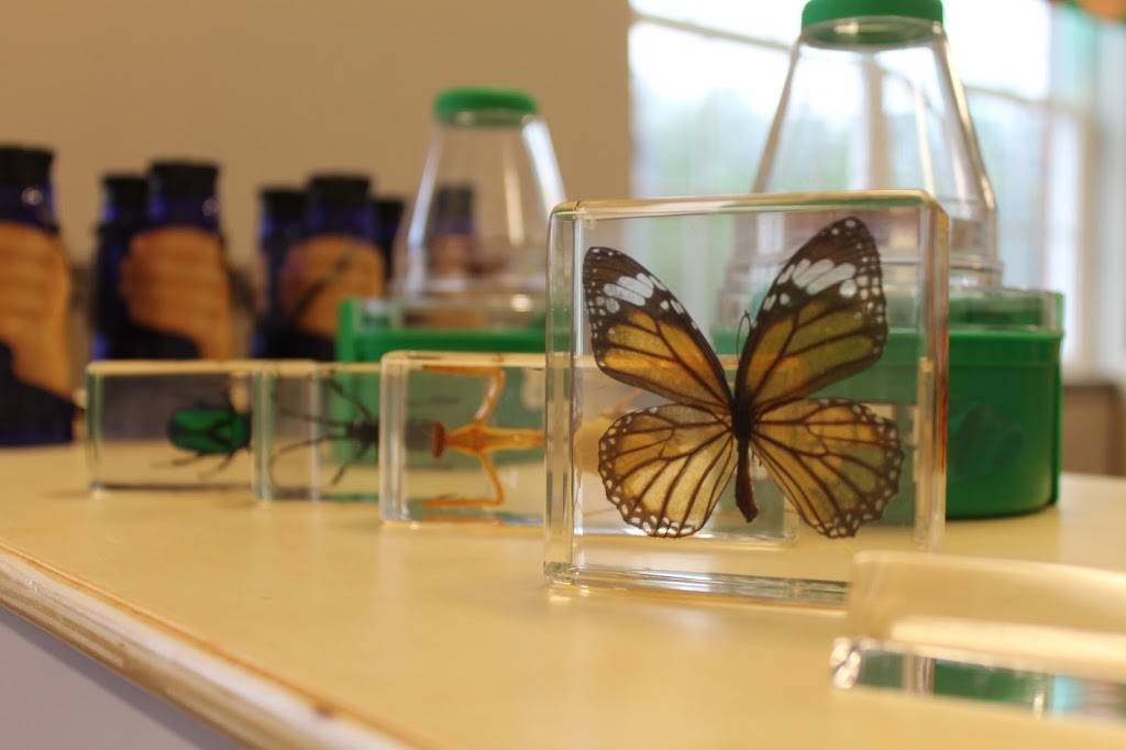 Legacy Academy for Children Smyrna | 4390 S Cobb Dr SE, Smyrna, GA 30080, USA | Phone: (770) 874-3828