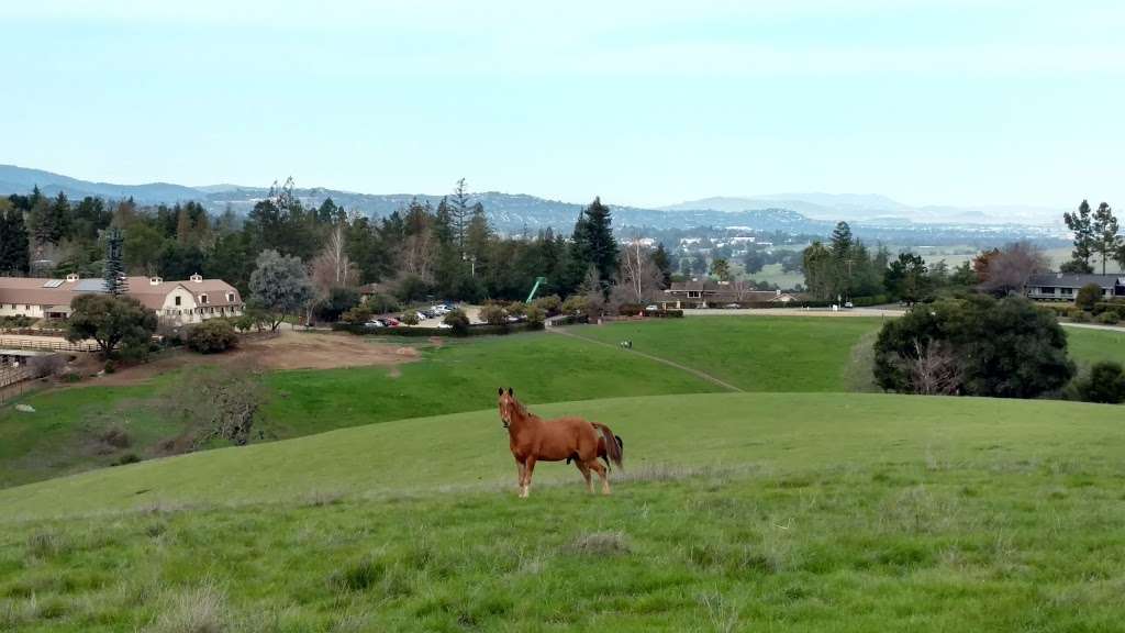 Byrne Preserve | Los Altos Hills, CA 94022, USA | Phone: (650) 941-7222