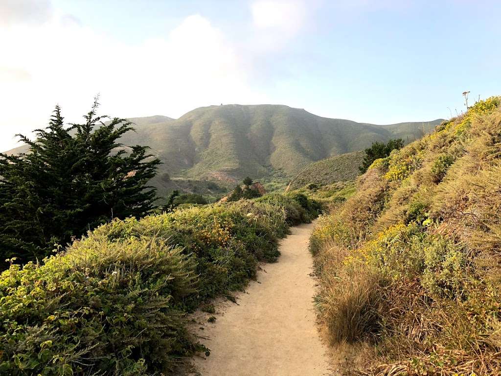 Gray Whale Cove Trailhead | Unnamed Road, Pacifica, CA 94044, USA