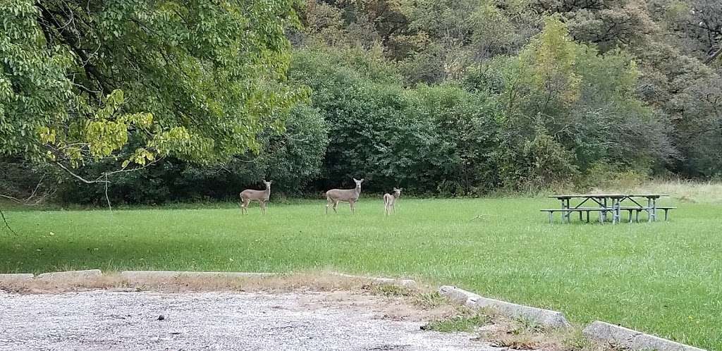 Deer Grove #5 | 5 W Deer Ct, Palatine, IL 60067