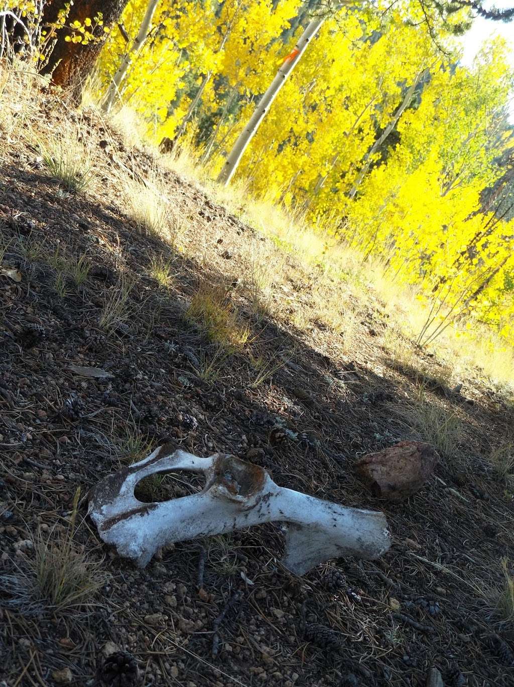 Slaughterhouse Trail Head | Bailey, CO 80421, USA