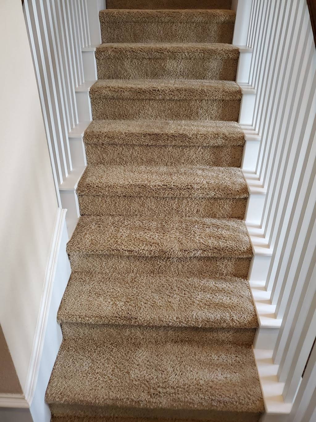 Alan Rovira-Carpet Cleaning | 2765 Pease Dr, Forney, TX 75126, USA | Phone: (469) 881-0041