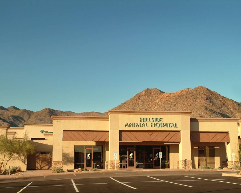 Hillside Animal Hospital | 11495 N 136th St, Scottsdale, AZ 85259, USA | Phone: (480) 391-7297