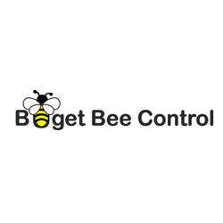 Budget Bee | 1903 Commonwealth St #16, Houston, TX 77006, USA | Phone: (713) 551-6320