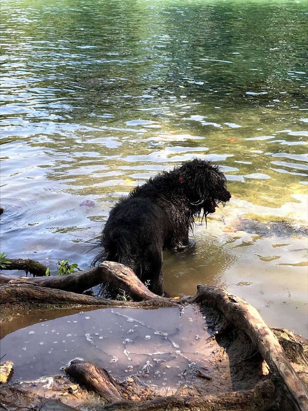 Lou Neff Point | Ann and Roy Butler Hike and Bike Trail, Austin, TX 78746, USA | Phone: (855) 448-7245