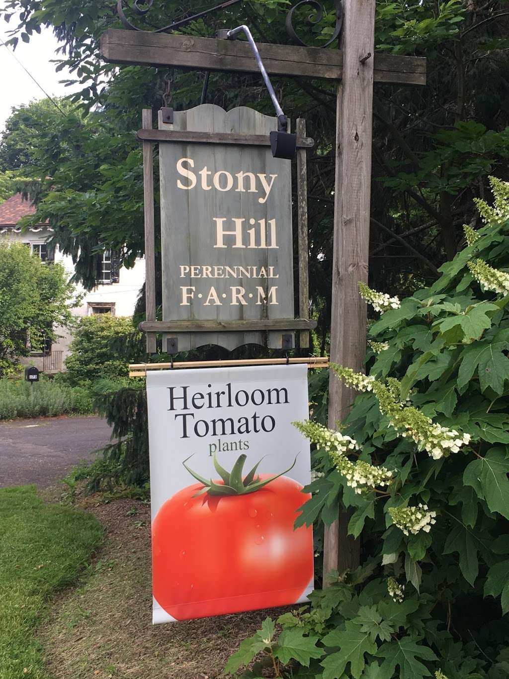 Stony Hill Perennial Farm | 173 Stony Hill Rd, Yardley, PA 19067 | Phone: (215) 295-8479