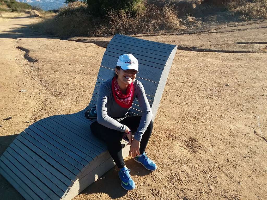 Willie Mann Memorial Chair | Wildwood Peak Rd, Burbank, CA 91501, USA