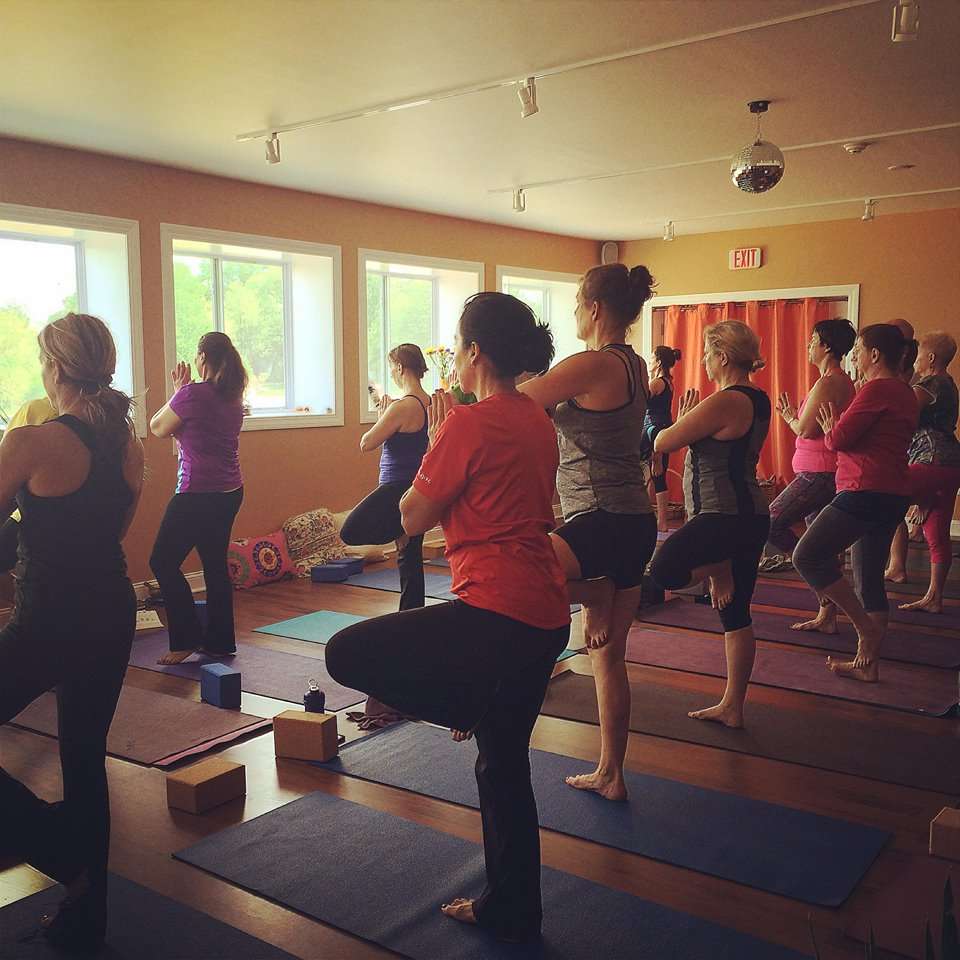 Lotus Yoga Loft | 692 County Rd 1, Pine Island, NY 10969 | Phone: (845) 987-4016